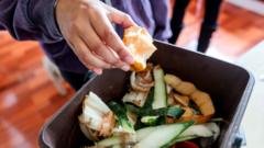 New bin rules begin in England but not all councils are ready