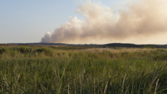 Major incident declared over coastal heath fire in Suffolk