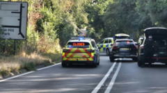 Man dies in crash after police pursuit
